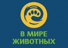 В МИРЕ ЖИВОТНЫХ HD